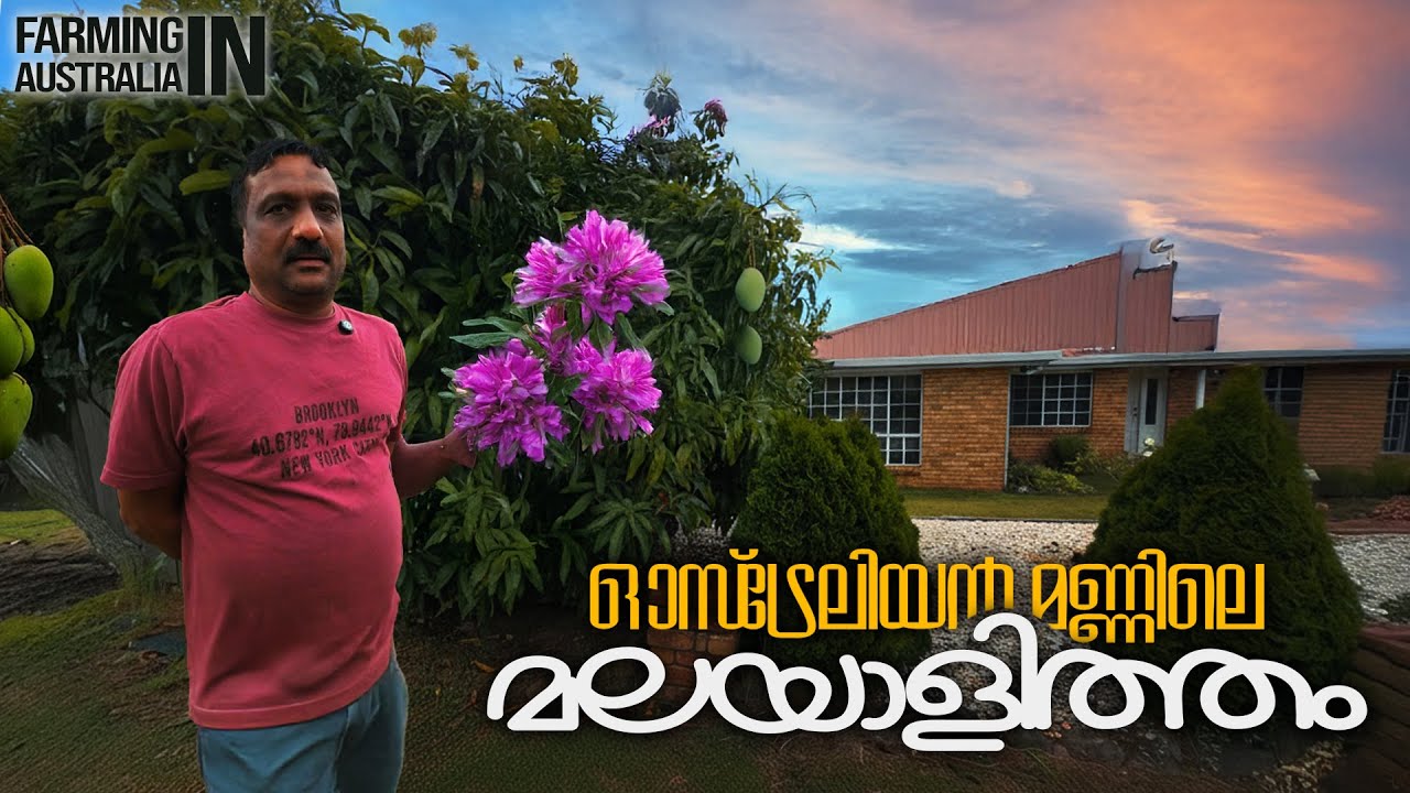 മറുനാട്ടിലെ മണ്ണറിഞ്ഞ കർഷകൻ: ഒരു ഓസ്‌ട്രേലിയൻ മലയാളി കഥ #australia #malayalifarmer #migration #viral
