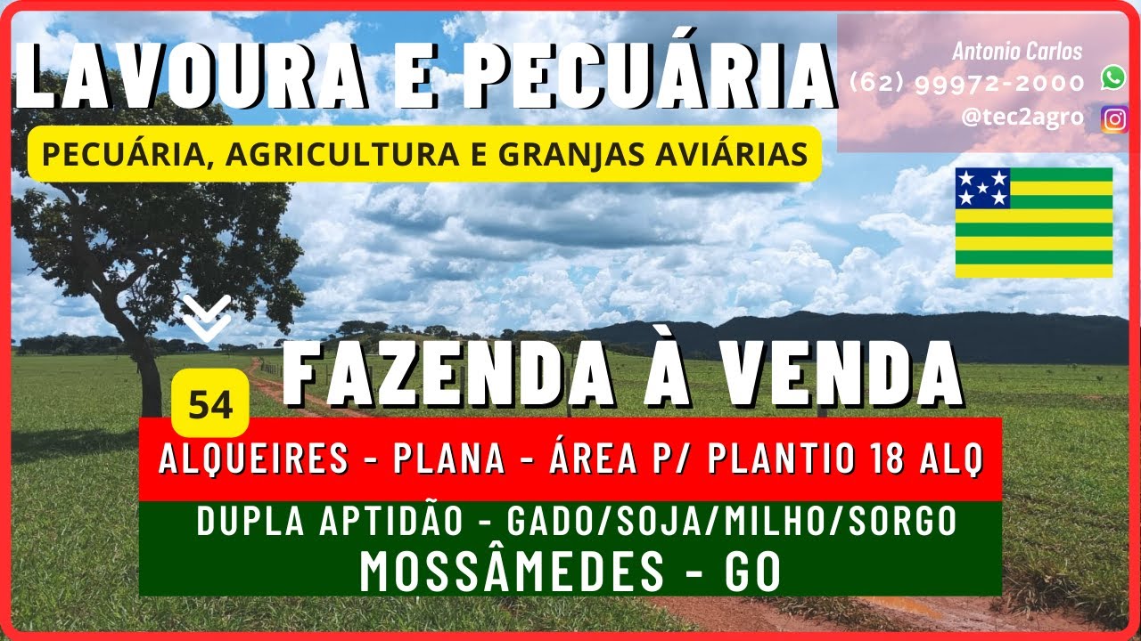 [🌱DUPLA APTIDÃO🐄] Fazenda a Venda em Goias 54 Alq MOSSÂMEDES GO [🌱SOJA MILHO GADO] #vendadefazenda