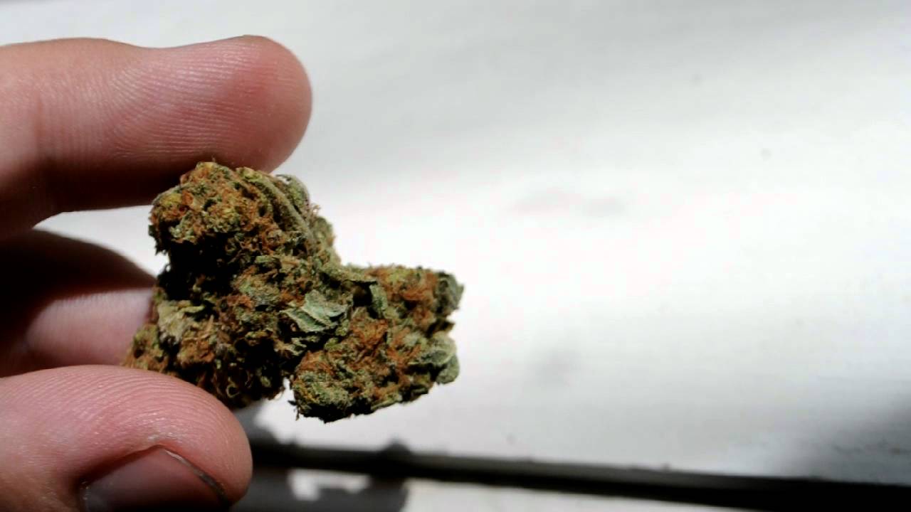 Pineapple Kush 1