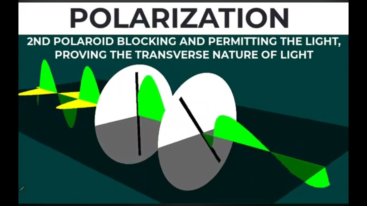 Edexcel polarization 