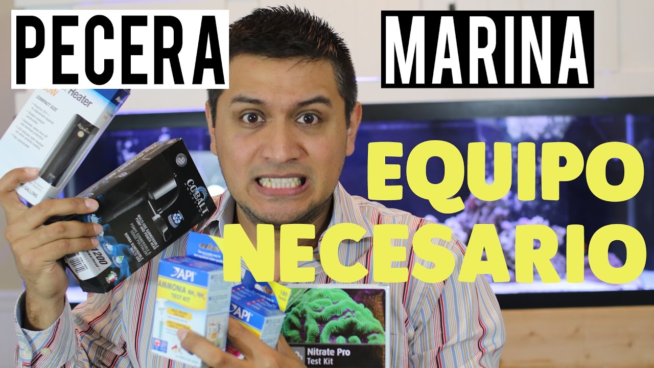 Instalacion de una pecera marina - Equipo necesario