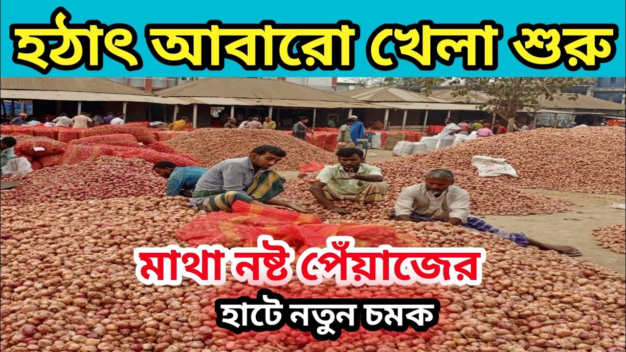 হঠাৎ একদিনেই বদলে গেল পেঁয়াজের বাজার আমদানি বেশি দাম ২০০ টাকা পরিবর্তন। পাবনা সাথিয়া ধুলাউরি হাট।
