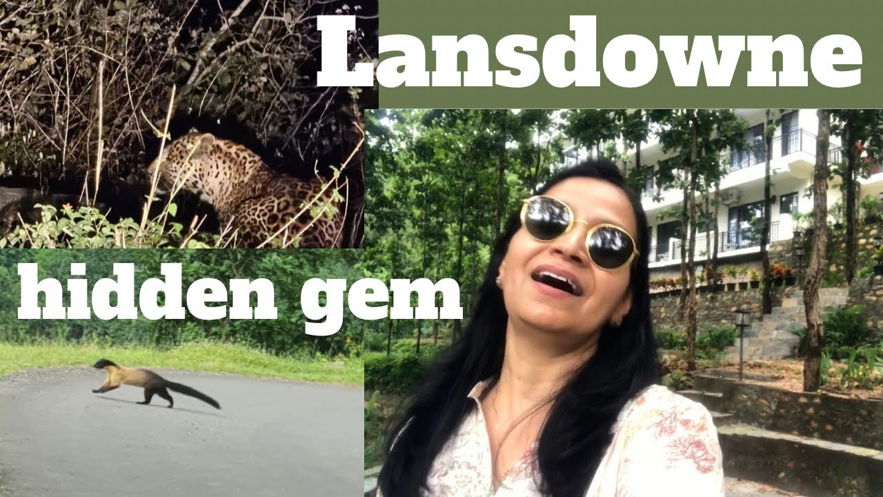 Hidden Gem | Lansdowne | My Visit To Marten’s Wilderness Retreat |Leopard And Marten Dikhte Jahan