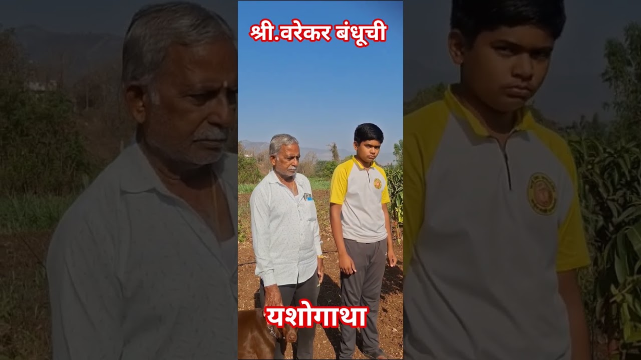 श्री. विठ्ठल व शंकर वरेकर या बंधूची यशस्वी आंबा लागवड.. एका वर्षाच्या प्रयत्नात भरघोस आंबा उत्पादन