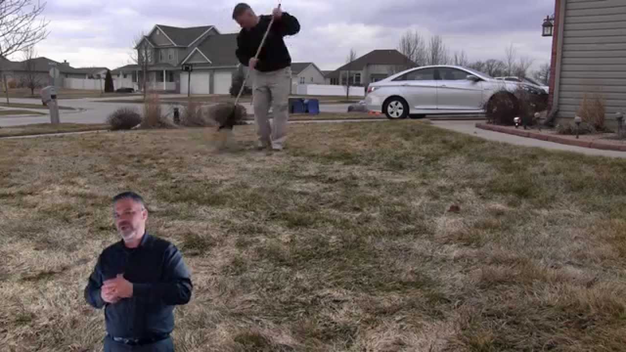 Spring Lawn Care : Recovery Program Step #1