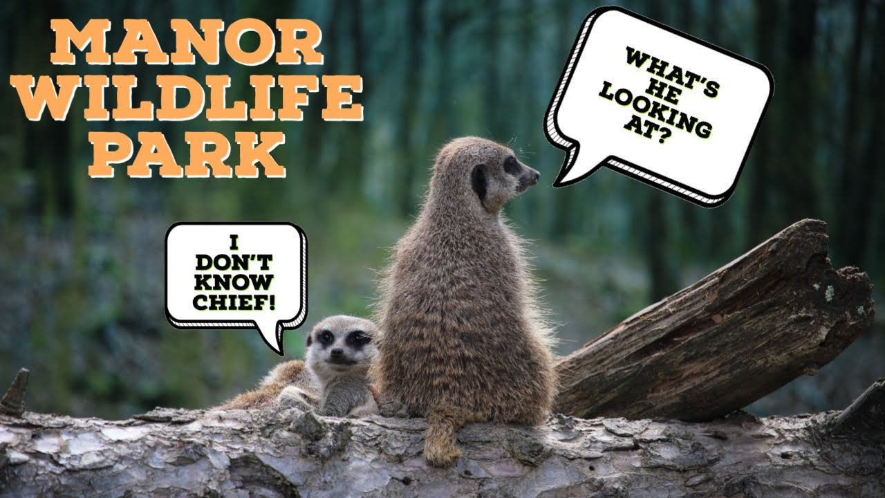 Manor Wildlife Park
