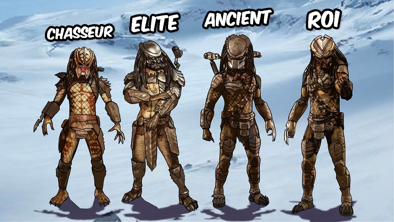 Les 13 Rangs dans la Société des Predators Expliqués