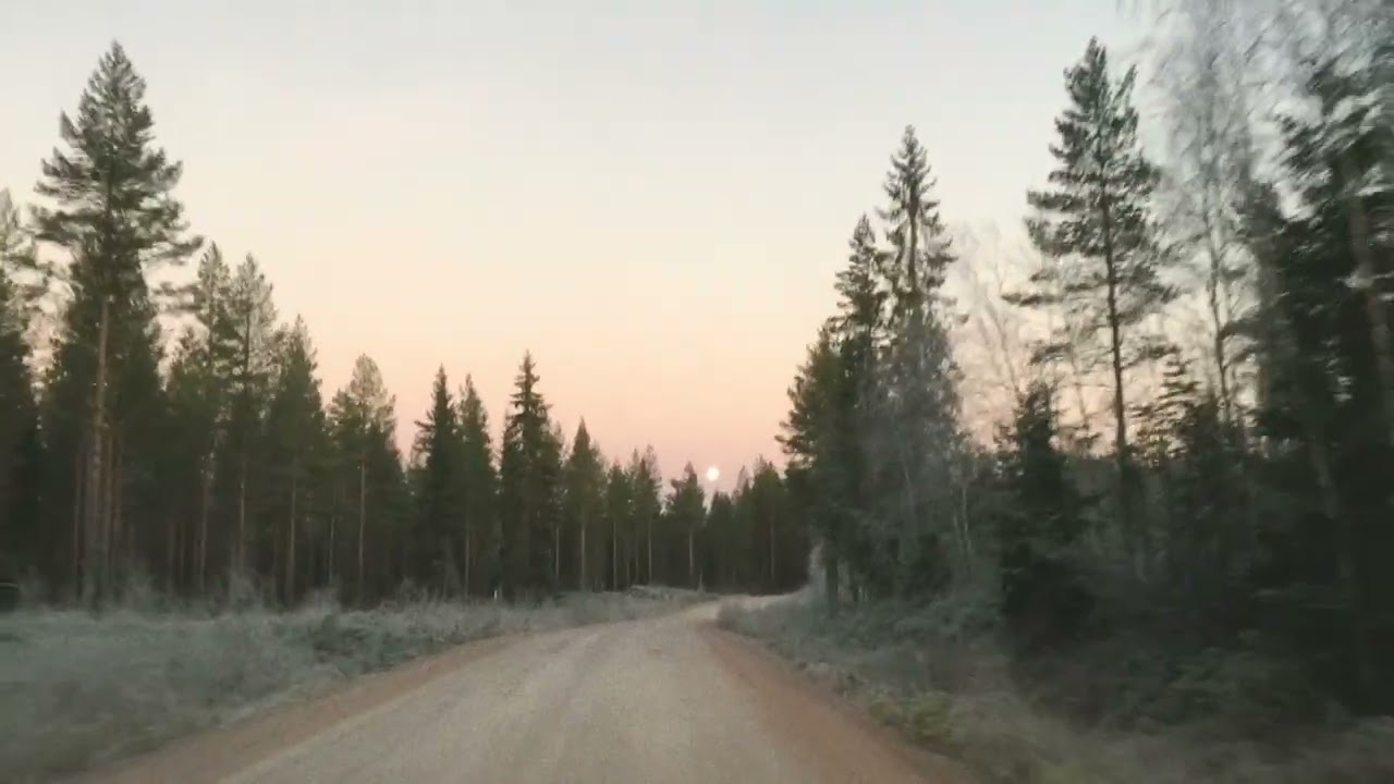 Nejderna - Stor sak om världen hatar mig (DEMO)