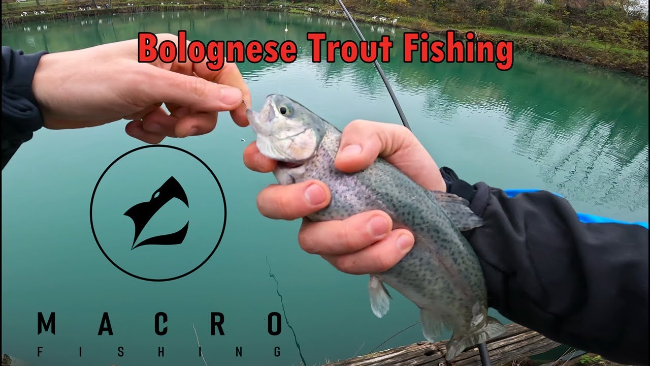 Lake trout Bolognese fishing - Pesca alla trota di lago alla Bolognese - MacroFishing