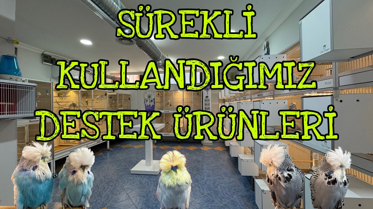 Muhabbet Kuşlarımızda Sürekli  Kullandığımız Destek Ürünleri Neler ?