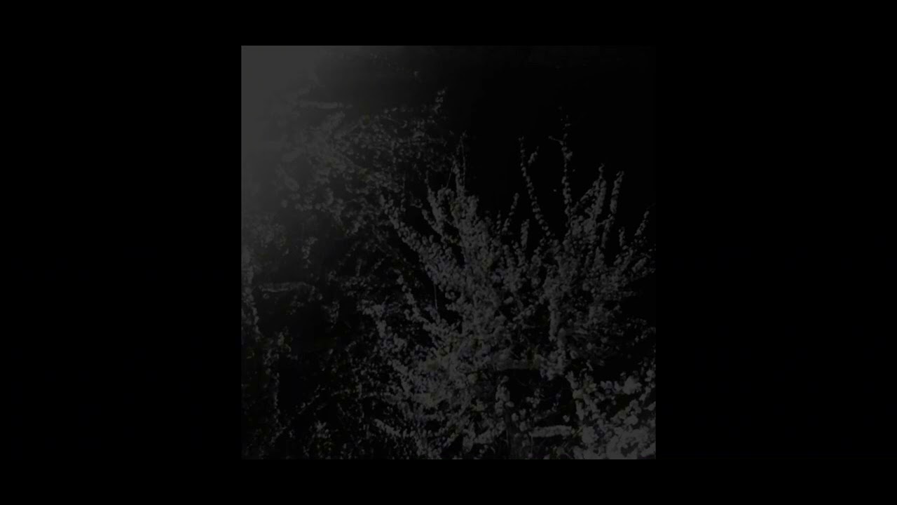 Get inside that box [slowed]