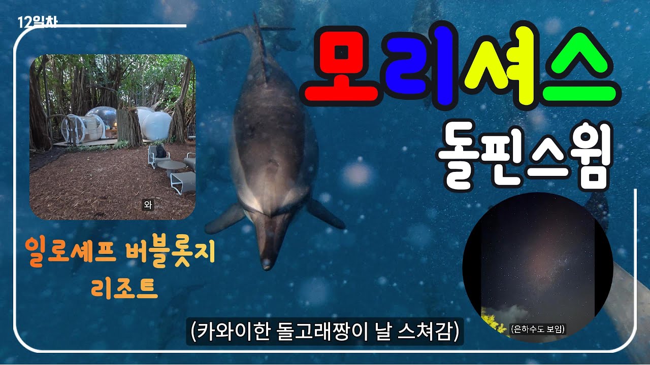 7. 모리셔스 신혼여행 돌고래랑 수영하기, 일로셰프 리조트 버블롯지