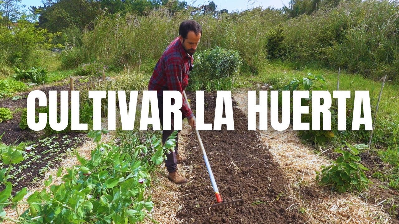 Cultivar la huerta