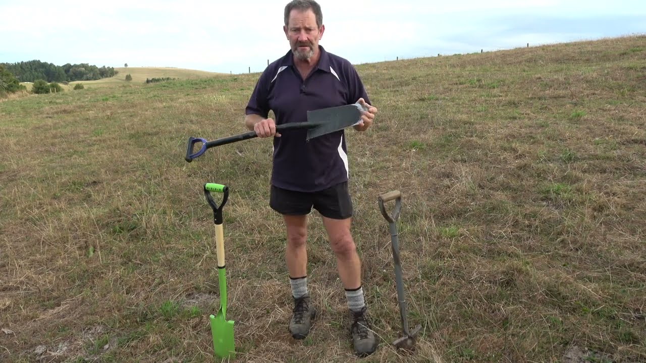 Planting Native Trees at Scale