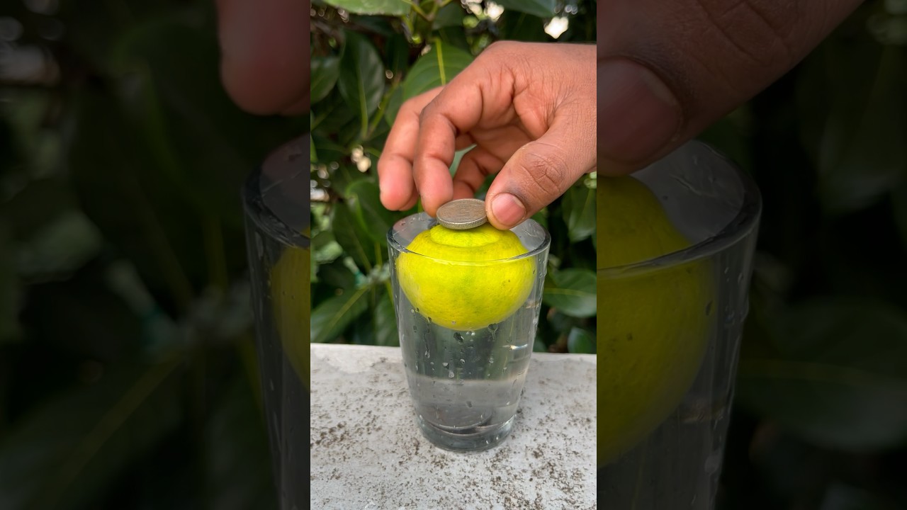 🍋Science ah illa Magic ah? 😂Lemon Experiment Revealed! ✨🍋🧪#shorts #lemon #experiment