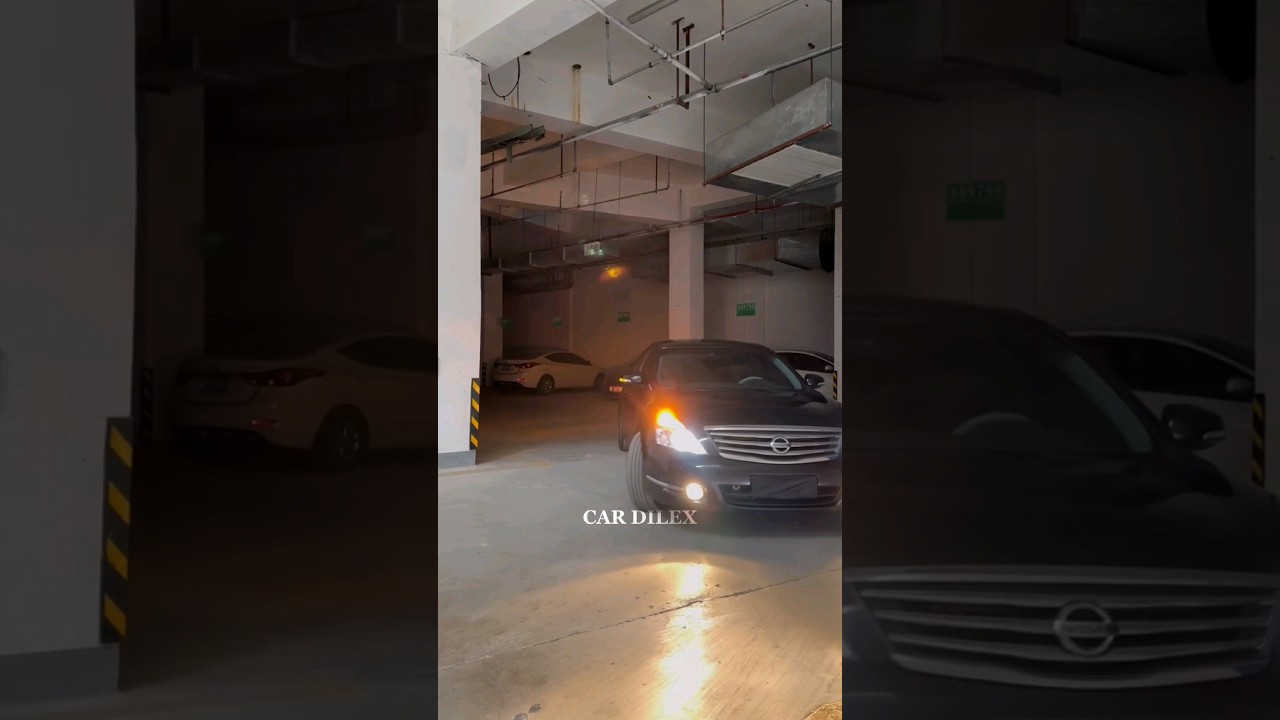 🇯🇵 Sound by 2011 Nissan Teana V6  #shortsvideo #nissanteana #cardilex #ASMR #tiktok