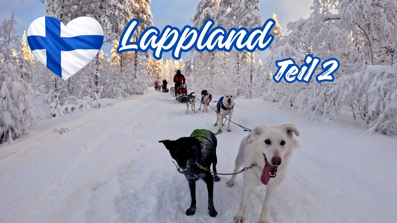 Finnland, Lappland, Syöte Nationalpark, Iso Syöte #lappland #finnland #husky
