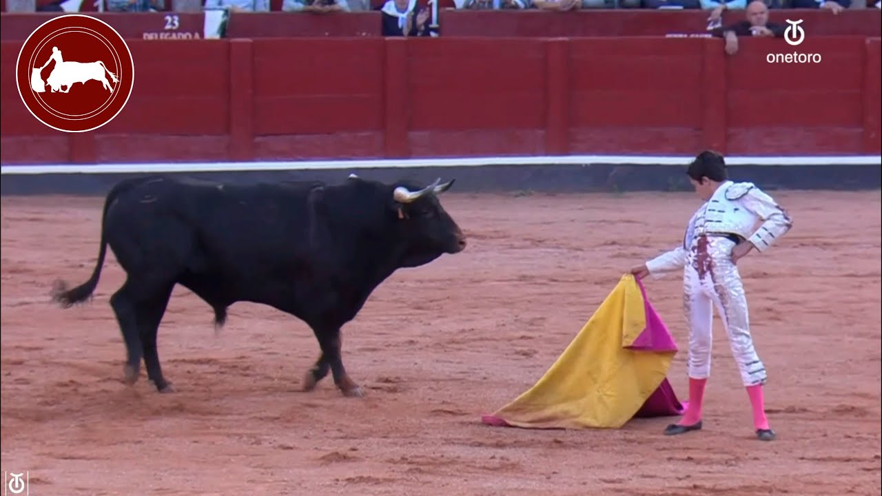 Marco Pérez, segundo novillo, Feria de Salamanca, 14-09-2024