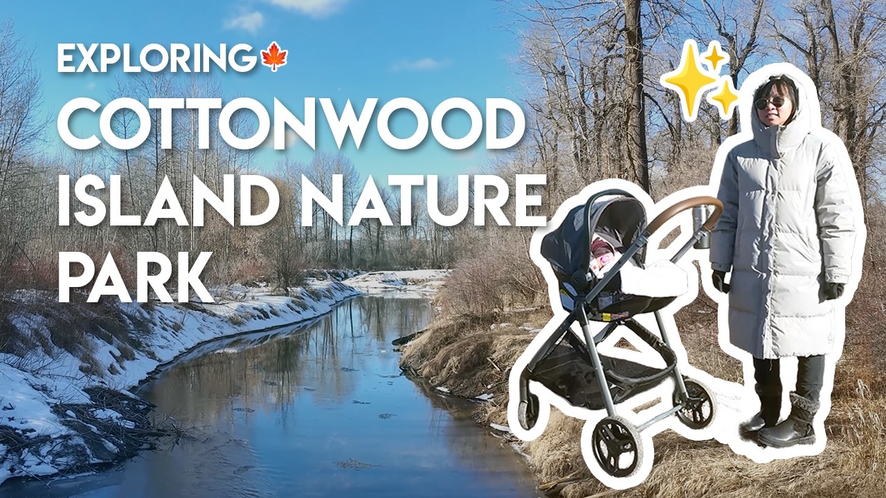 Cottonwood Island Nature Park, PG, BC 🌲❄️👶🏻