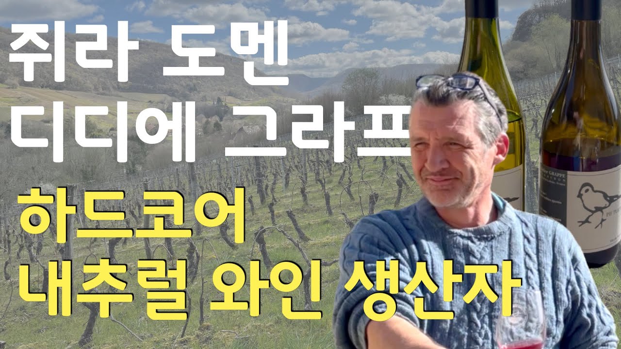 쥐라 내추럴 와인 도멘 방문했어요 1탄 | 꼬장 꼬장한 와인 생산자와 인터뷰 | 도멘 디디에 그라프 아저씨 멋짐 폭발| Didier Grappe