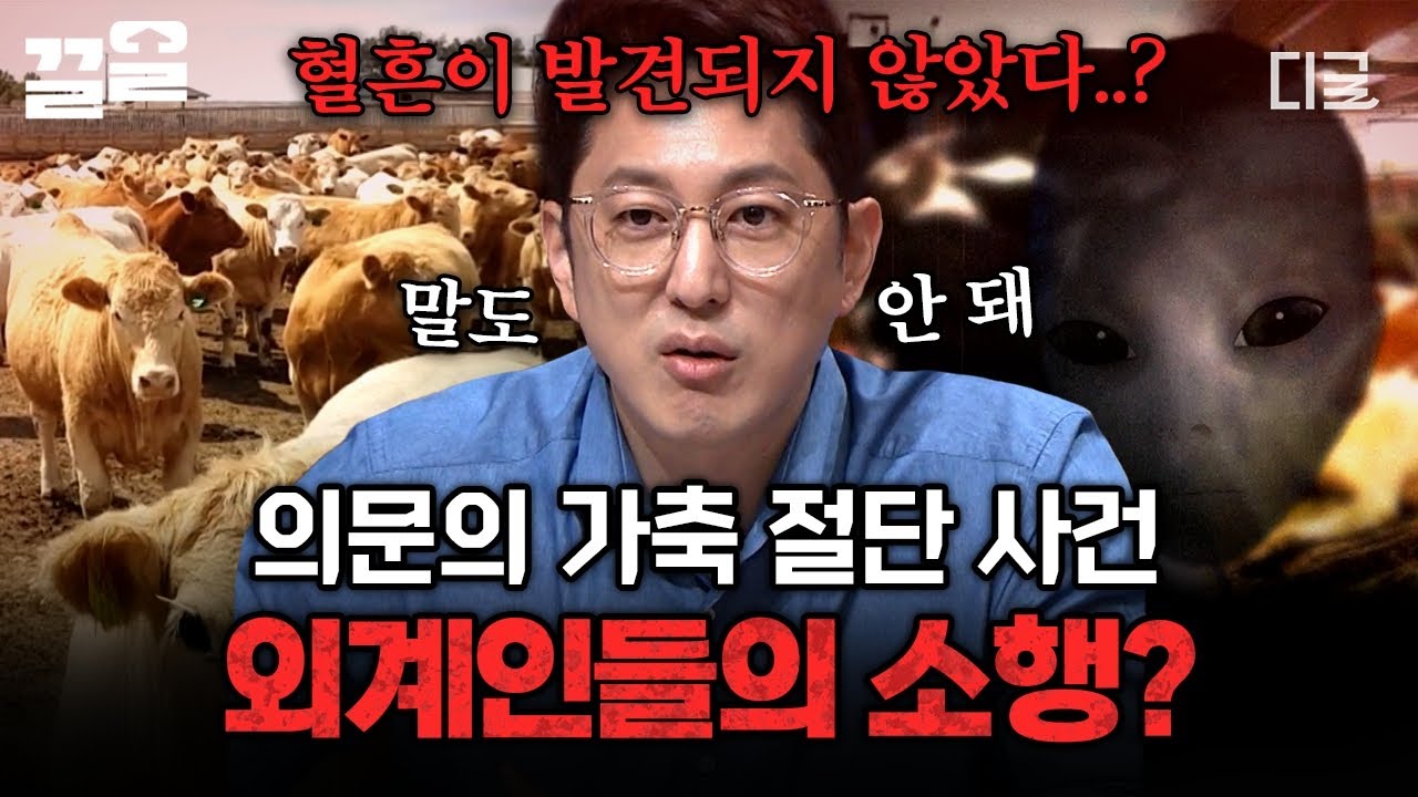 [#프리한19] 피 한 방울 없이 절단된 가축들만 수십 마리...😨 정말 외계인들의 소행일까?👽