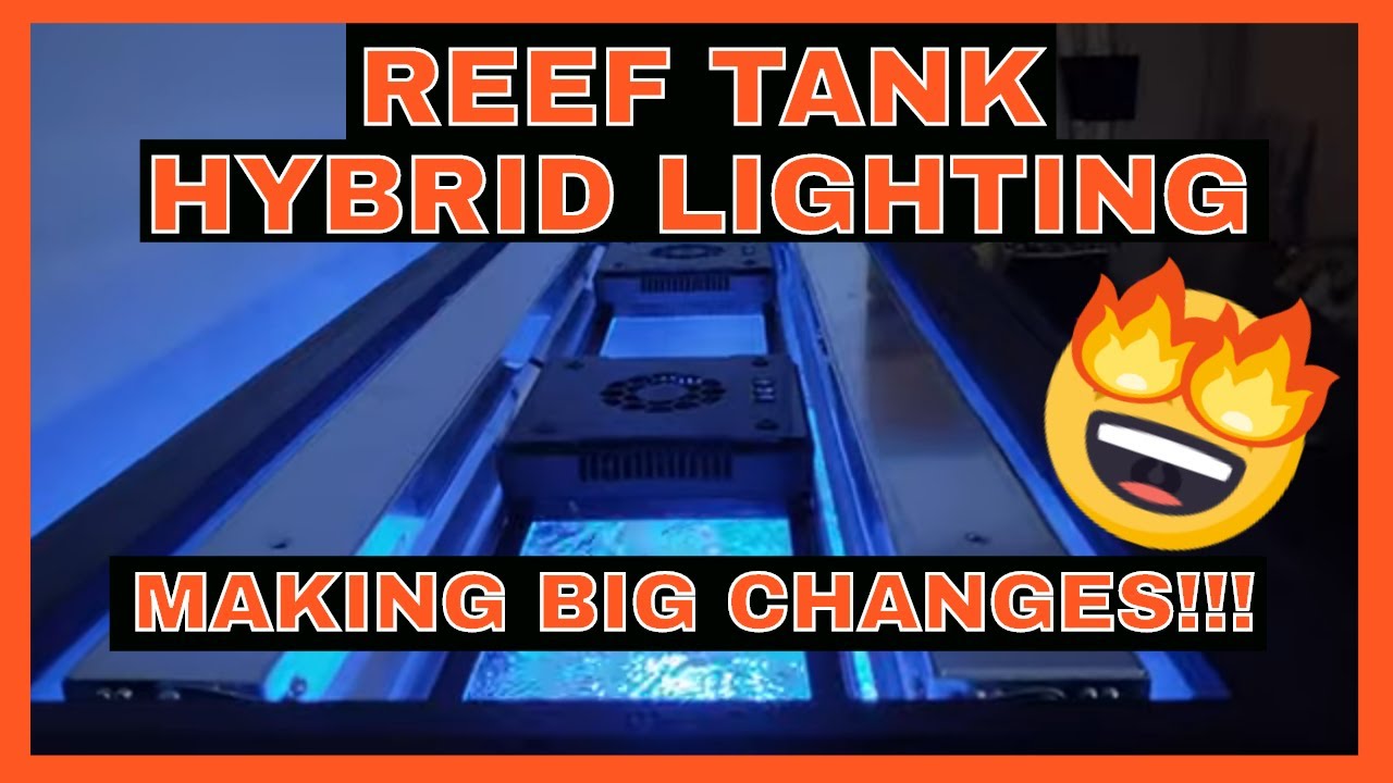 75 Gallon Reef Tank - DIY Hybrid Lighting - Aquarium Lights