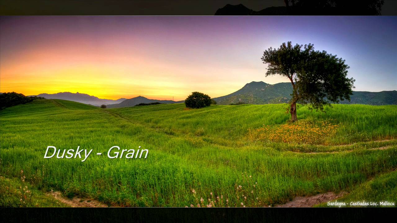Dusky - Grain