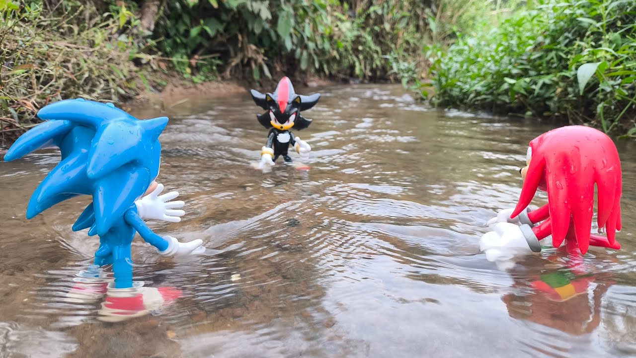 Sonic and Friend/Sonic Shadow/Were Hog/Knuckles/Metal Sonic/Sonic Hedgehog/Tails/Super Shadow/Eggman