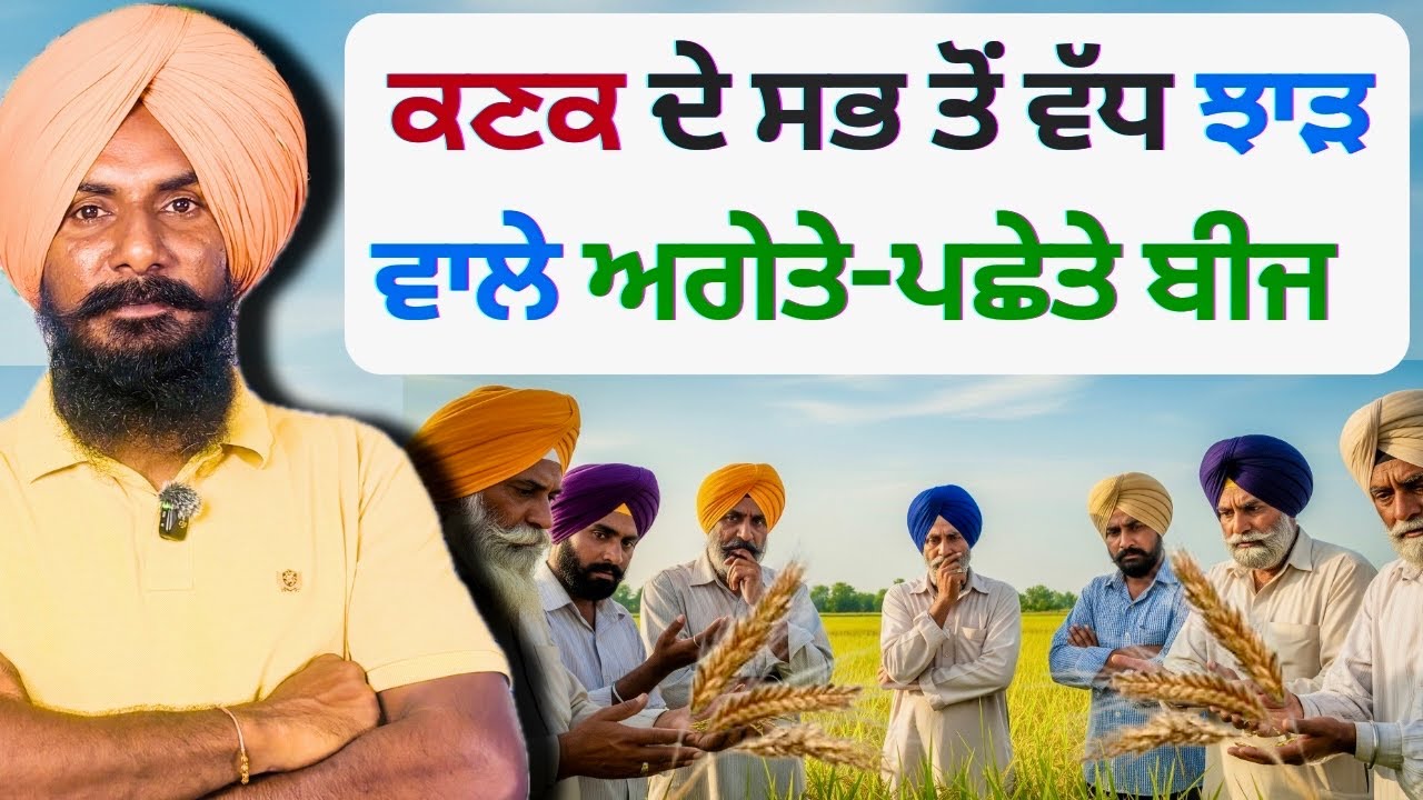 ਕਣਕ ਦੇ ਸਭ ਤੋਂ ਵੱਧ ਝਾੜ ਵਾਲੇ ਅਗੇਤੇ - ਪਛੇਤੇ ਬੀਜ | Top Wheat Seed Varieties 2025 | PAU Kissan Mela | 