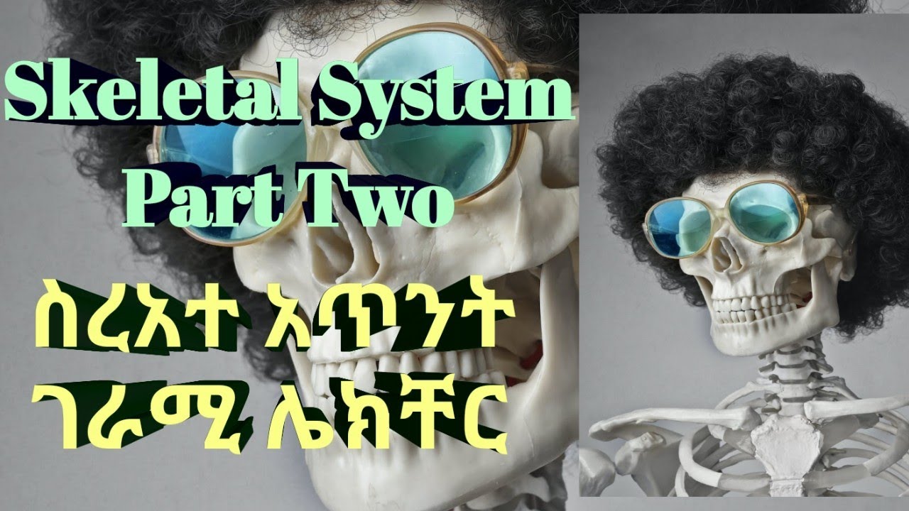 Skeletal System Part Two with Animation and Amharic Speech | ስራአተ አጥንት ክፍል ሁለት