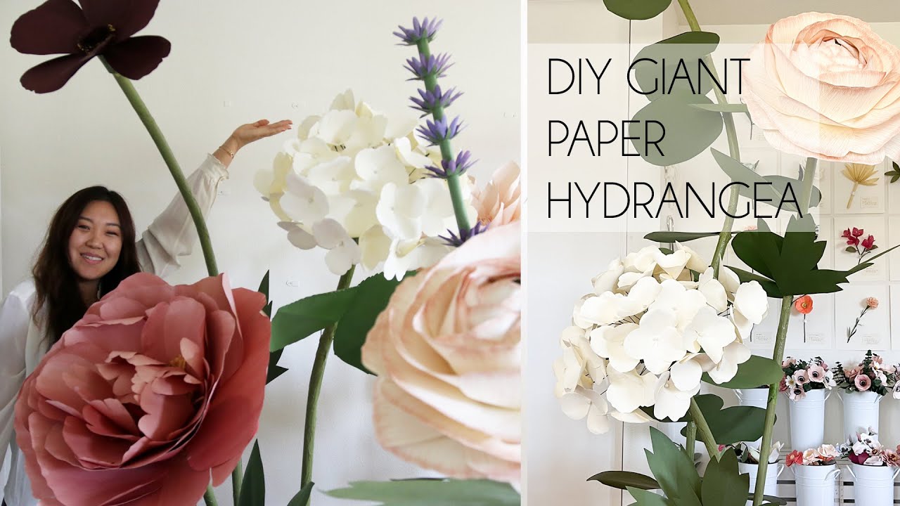 DIY Giant Paper Hydrangea for Backdrops (How to make giant paper flowers)