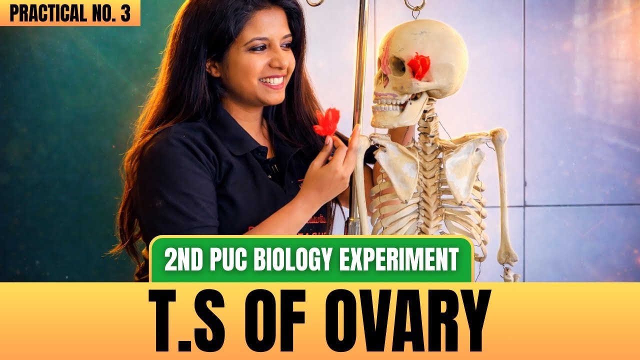FULL Demo: T.S of Ovary 🌼🔬 | 2nd PUC Biology Practicals (E3) 💯