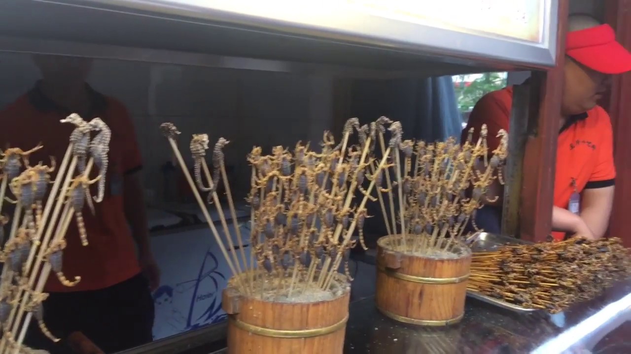 Coinpicker's Creepy Crawly Snacks In Beijing