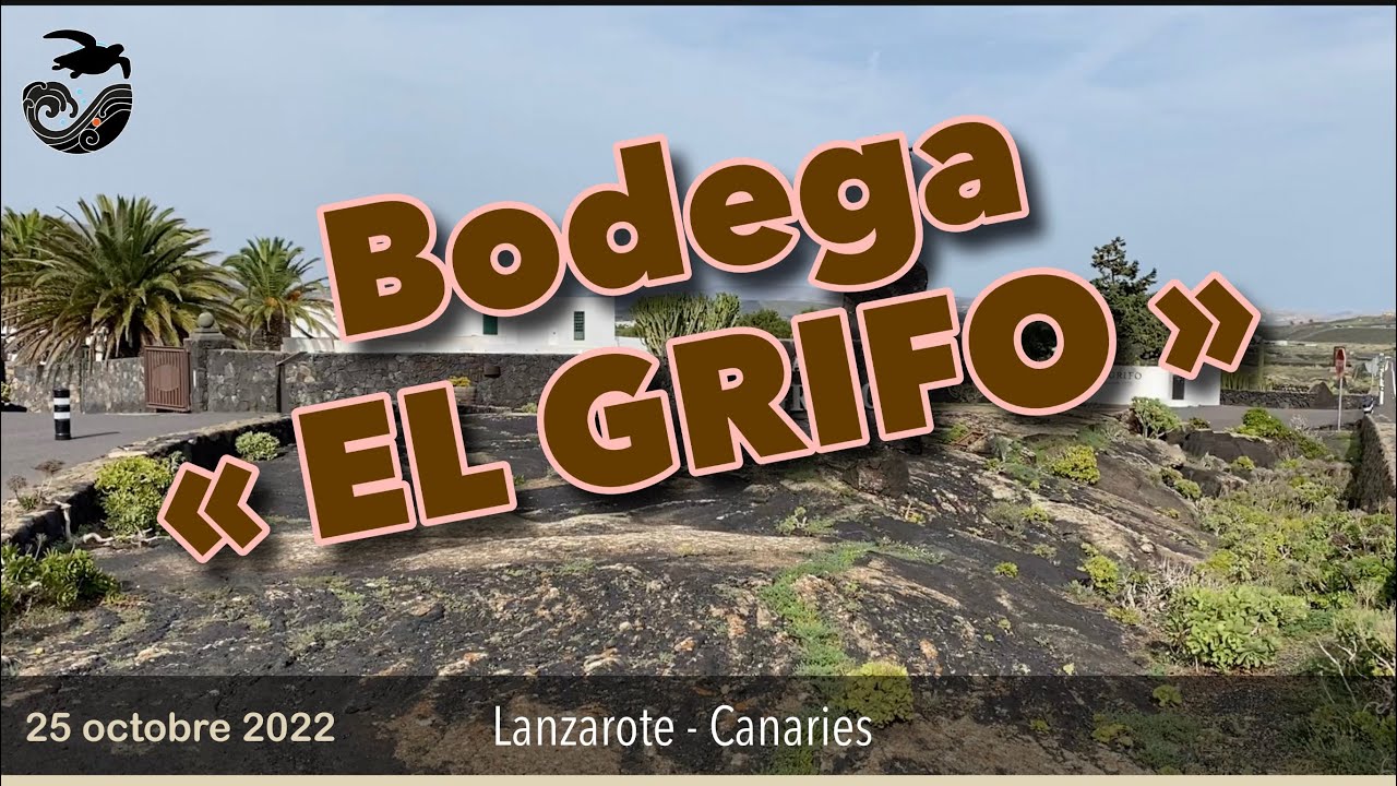 #28 - Petite visite à la bodega d’El Grifo à Lanzarote