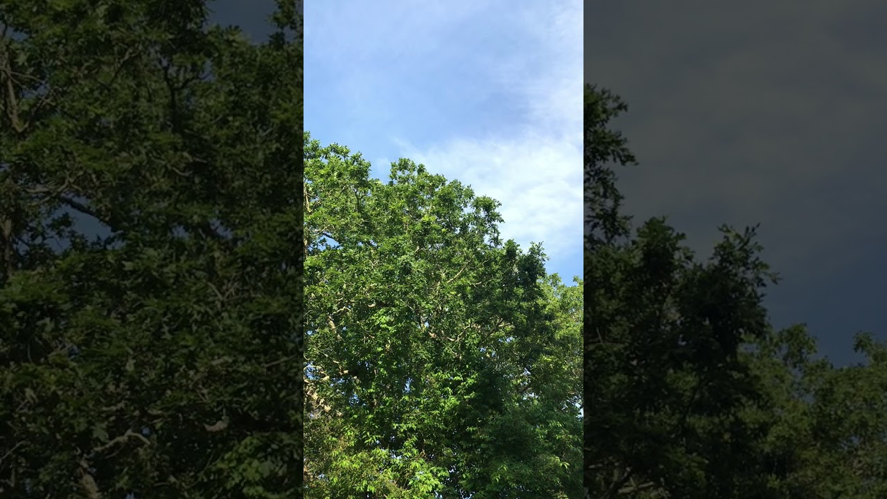 SKY PHENOMENA ✨