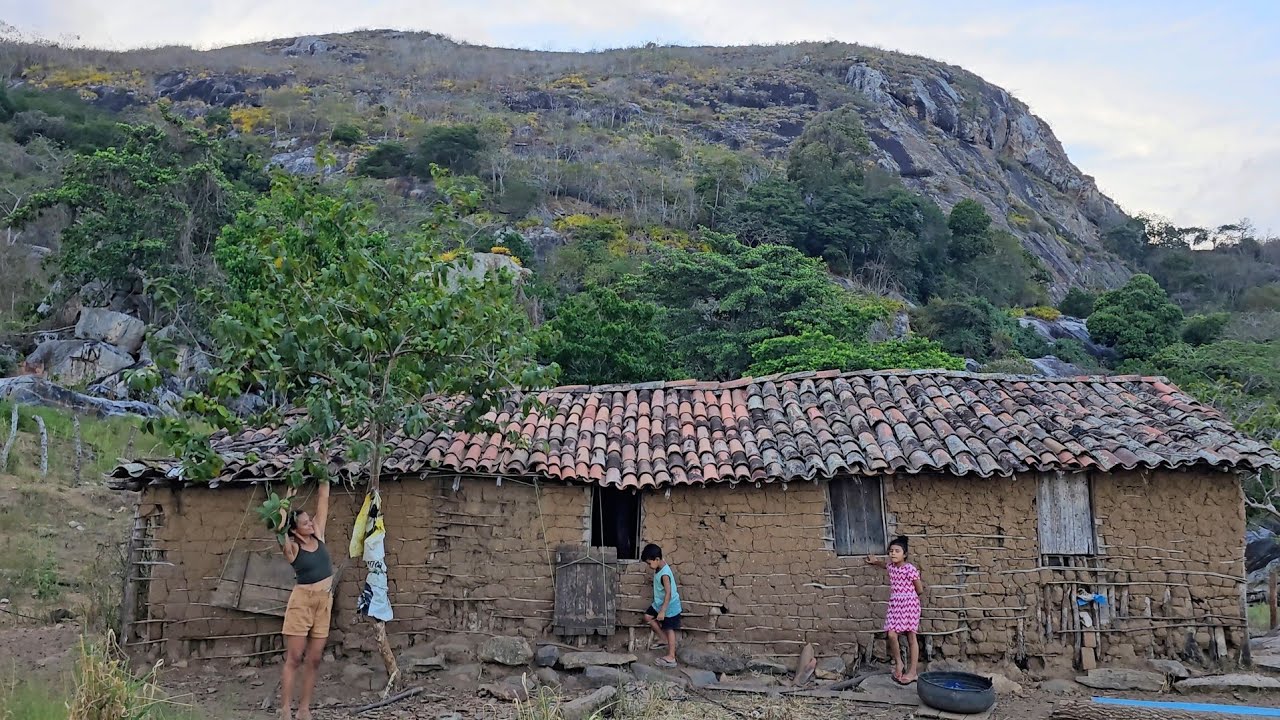 Vida simples e um final de tarde tranquilo no sertão nordestino🙏