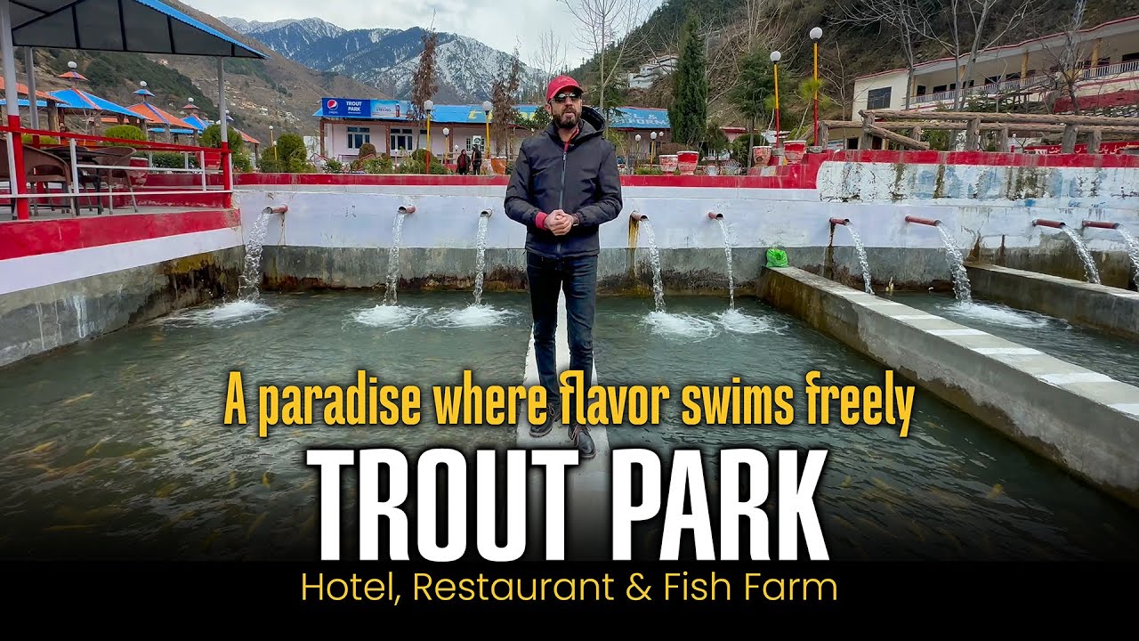 Trout Fish Farm in Swat Valley | Best Picnic Spot & Hotel Review