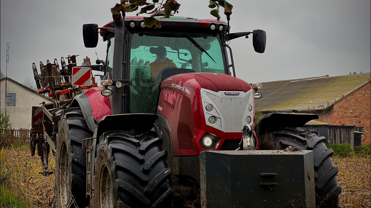 ⭐️MCCORMICK I MANDAM W AKCJI👨‍🌾GR MORGA