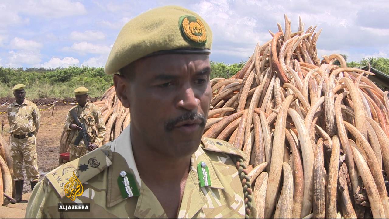 Elephant conservation: Kenya summit on poaching crisis