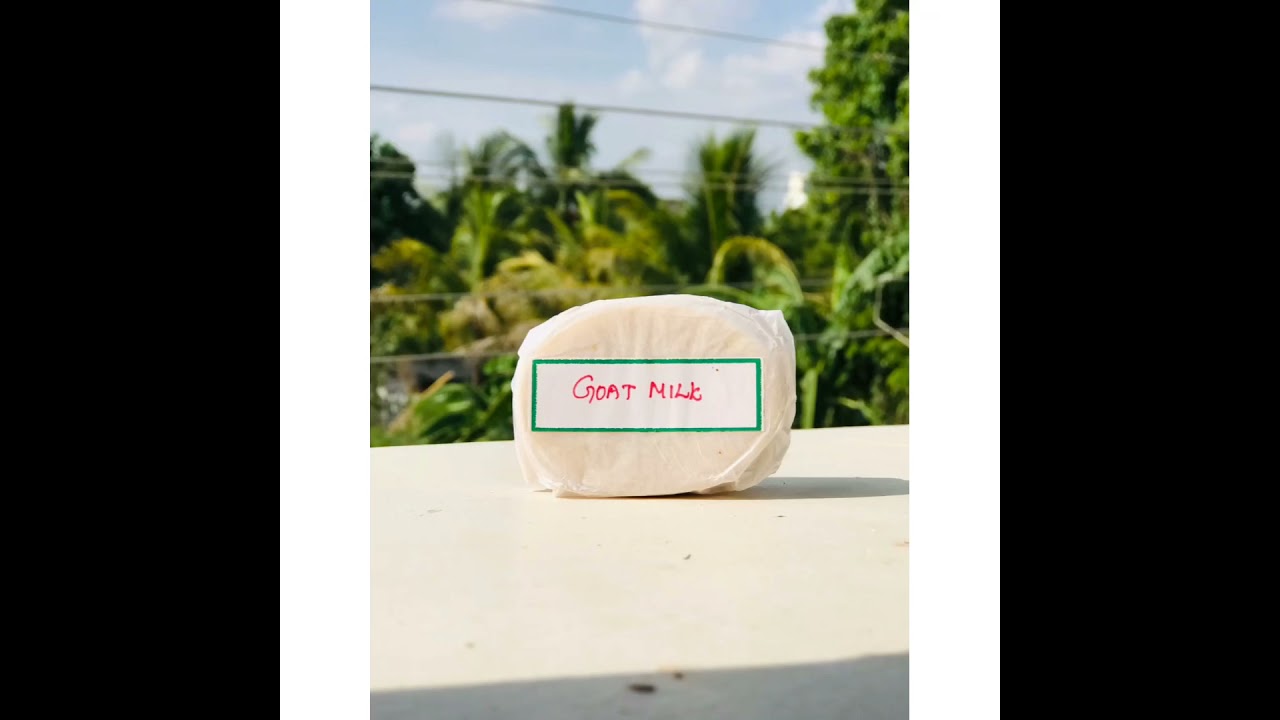Goat milk soap making in tamil #goatmilksoapaking #homemadesoaps #soapmakingtamil #goatmilksoap