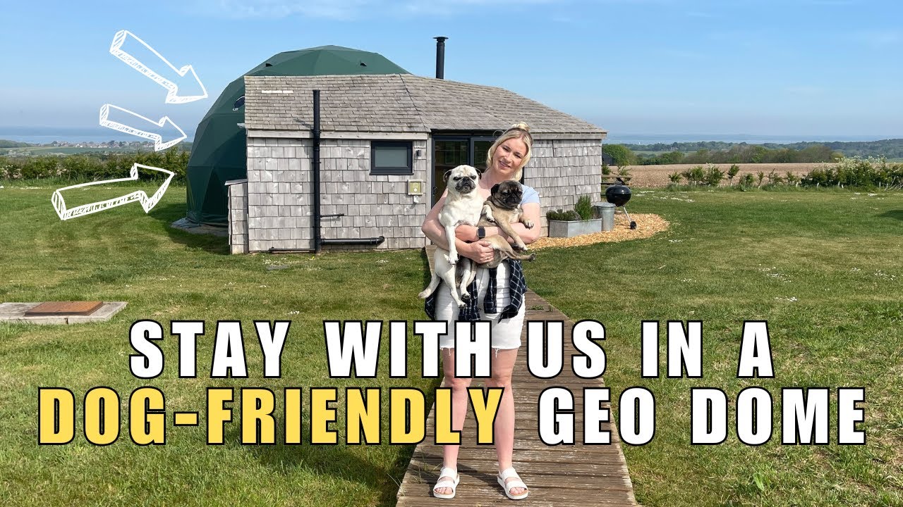 Glamping With My Dogs 🐾 Dog-friendly Geo Dome - Tom's Eco Lodge / Tapnell Farm, Isle of Wight