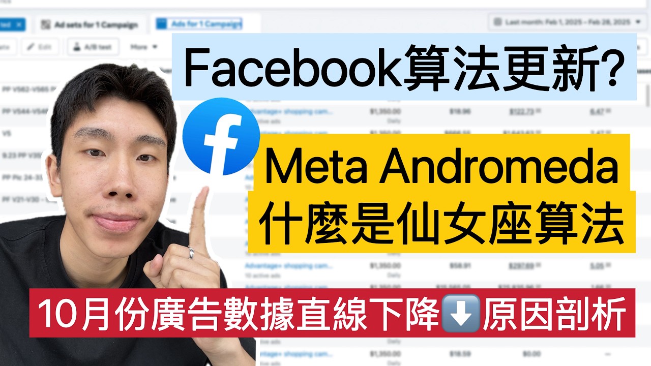 Facebook广告最新仙女座算法｜10月份Meta广告数据ROI/ROA下降原因具体分析