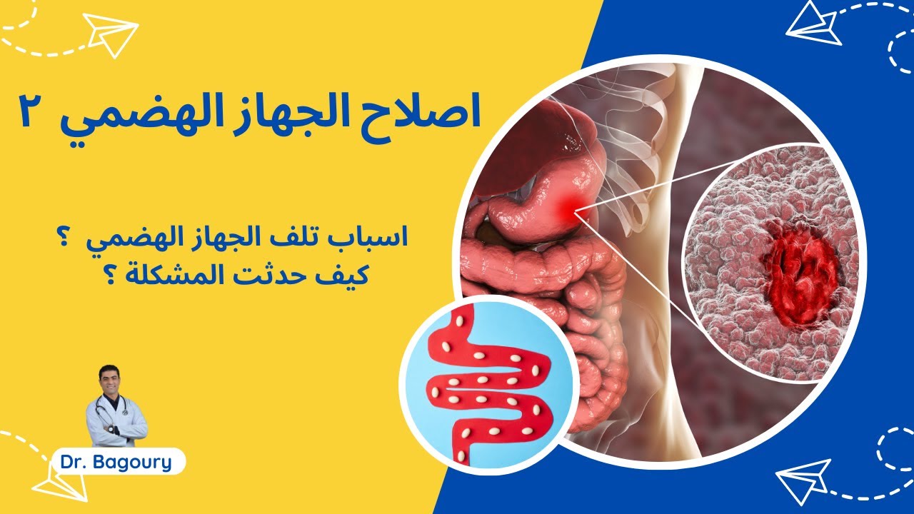 أسباب تلف بطانة الجهاز الهضمي | سلسله الجهاز الهضمي ٢
