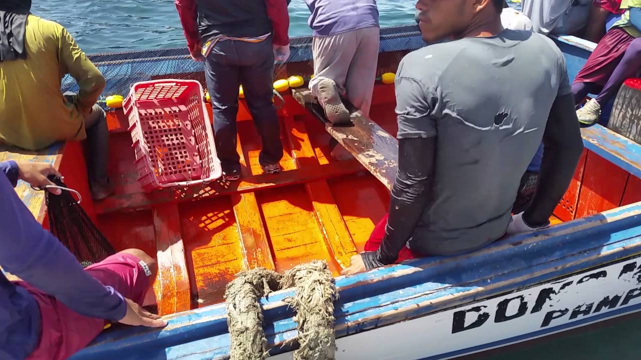 Pesca en alta mar, en el mar caribe Edo. Sucre FM