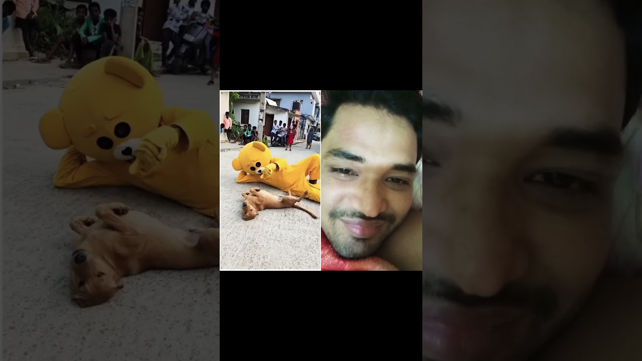 Teddy bear 🤣🤣👈 #comedy #shortsvideo #vairalvideo #shorts #sujonbhai01