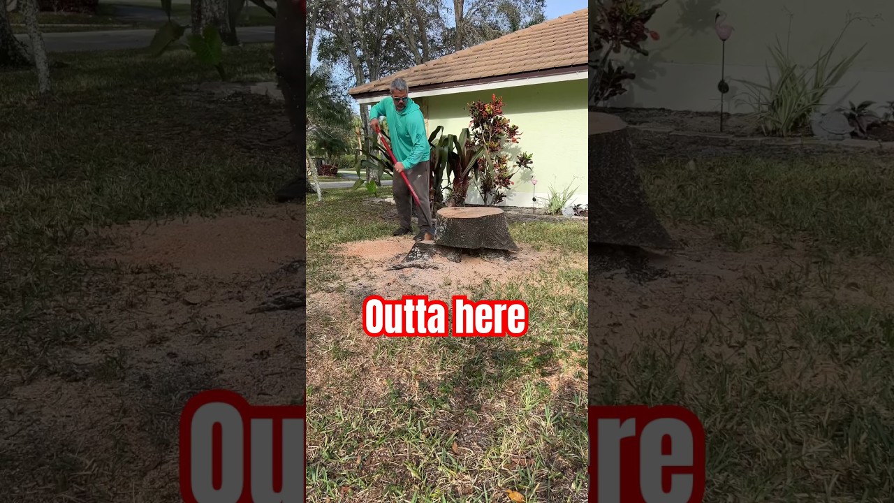 $650 on this Stump grind - HOW ???