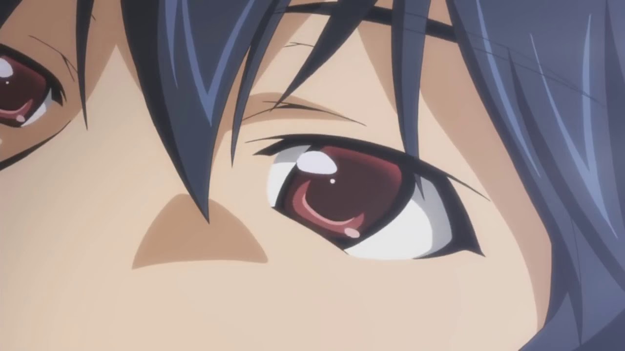 Infinite Stratos 《 AMV 》 Fade Away