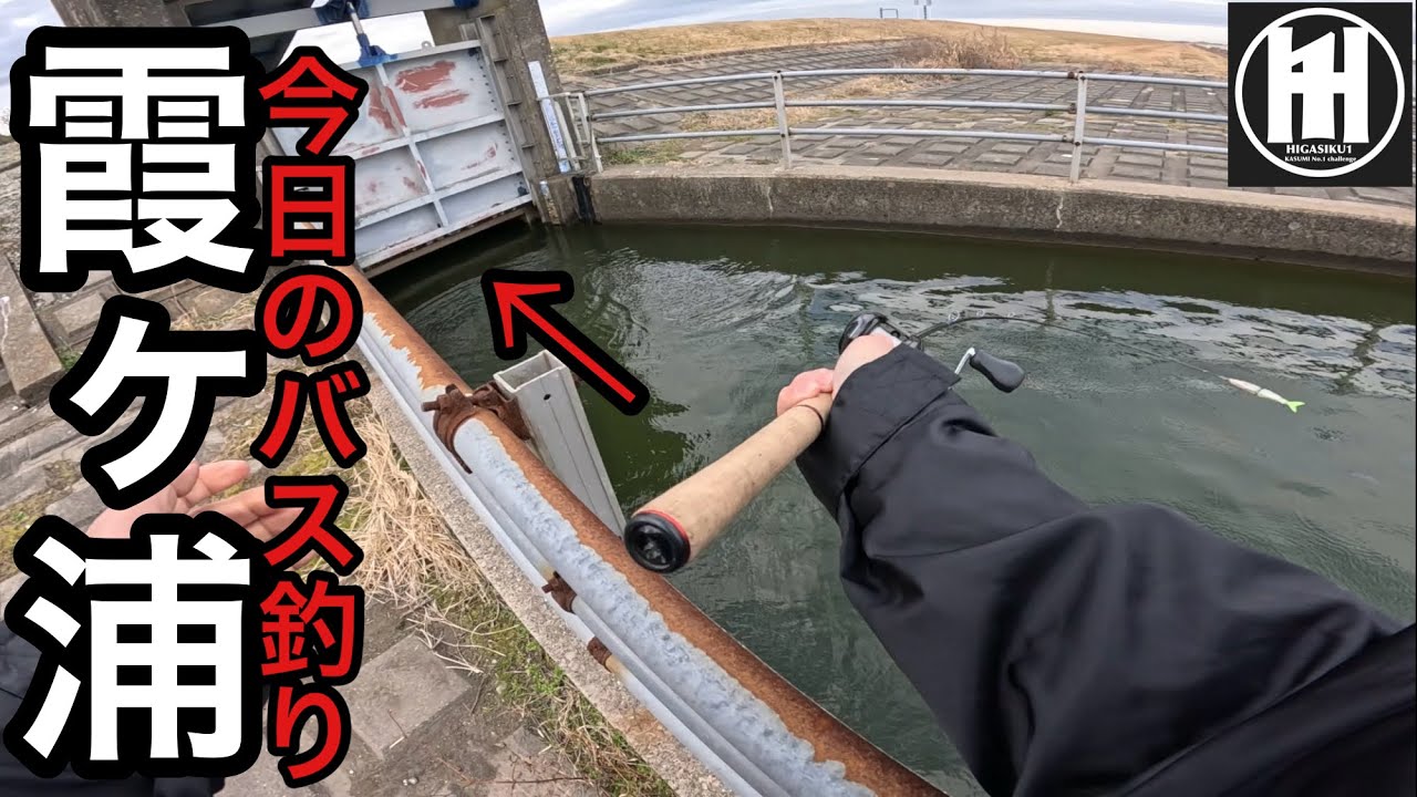バス釣り霞ヶ浦！ビッグベイトを増水で狭くなった水門に滑り込ませ‥2026年1月22日