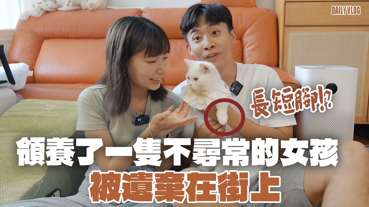 【vlog 】突發領養了一隻長短腳的貓😨⁉️買了洗碗機…卻只能洗4隻碟⁉️老公超崩潰😅
