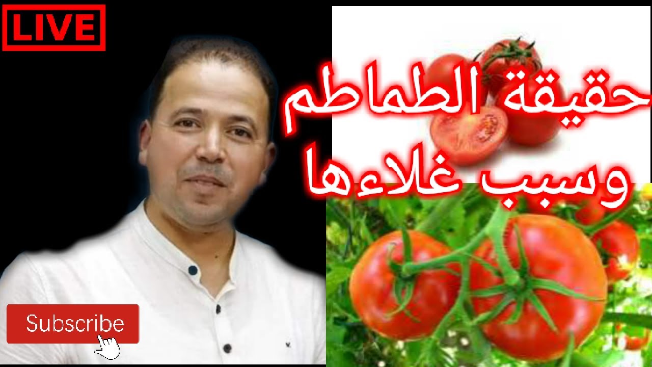 🔴 حقيقة الطماطم 🍅مطيشة وسبب غلاءها || الاستاذ محمد احليمي اختصاصي الحمية العلاجية والتغذية الصحية